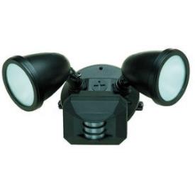 Access Lighting 20310 Ariel Wet Location Motion Detector Spotlight