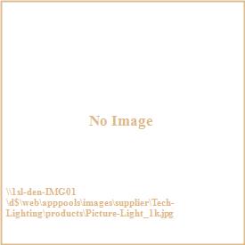 Tech Lighting 700JOSPL Joshua Picture Light with Plug-In