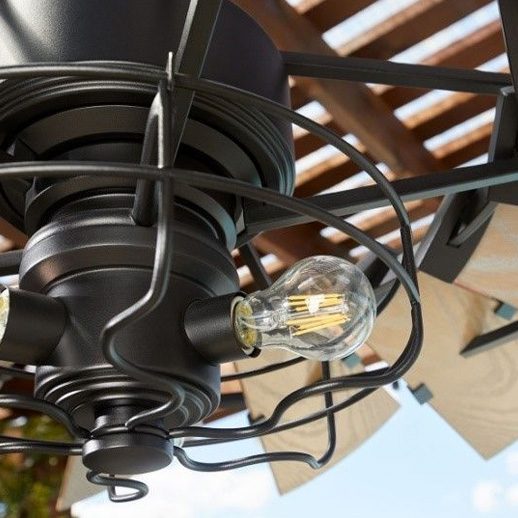 Oiled Bronze Cage Light Kit