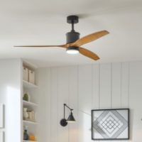 Contemporary Fans
