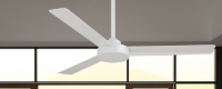 White fans