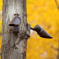 Outdoor Security Lights