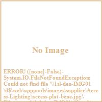 Acess Lighting platinum seal image