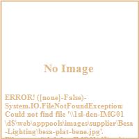 BESA lighting platinum seal image