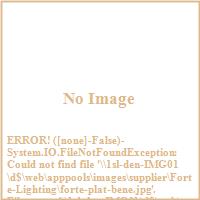 Forte lighting platinum seal image
