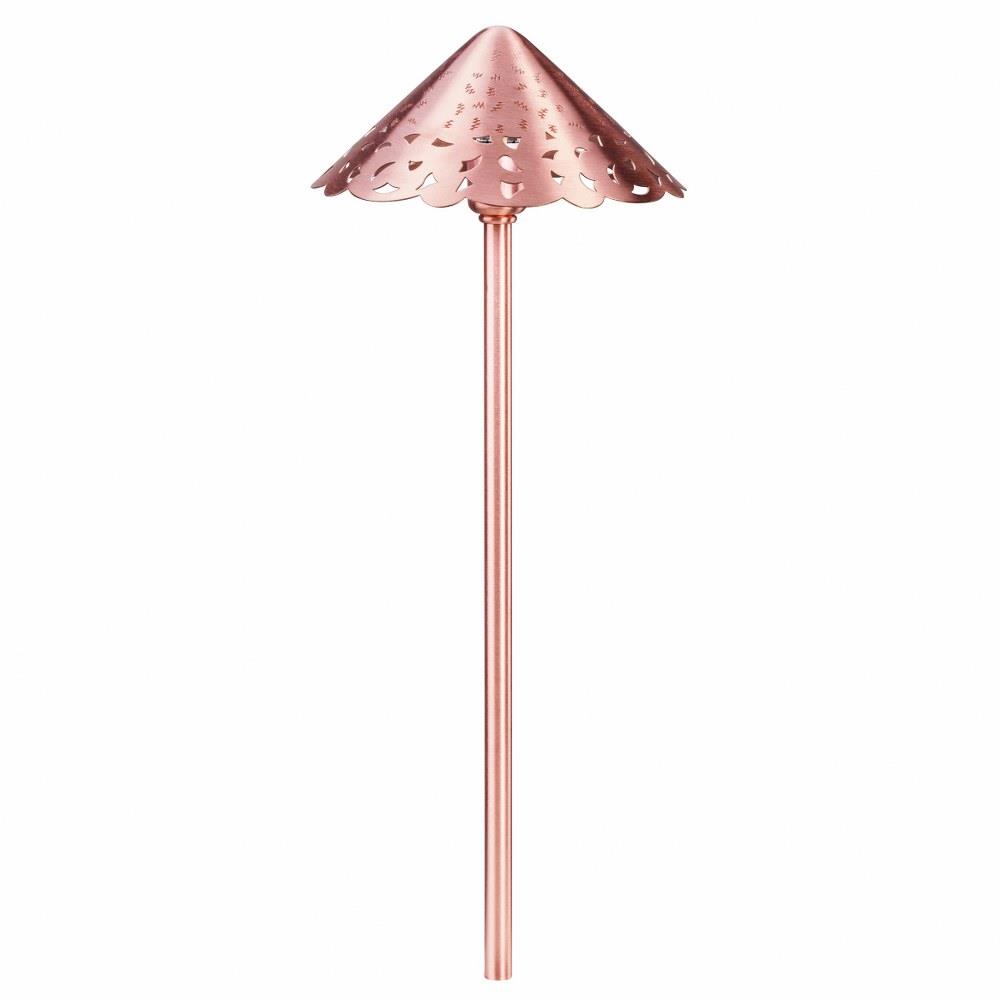 Low Voltage One Light Outdoor Path