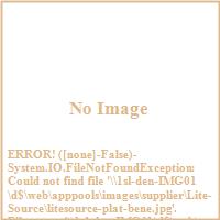 Lite Source platinum seal image