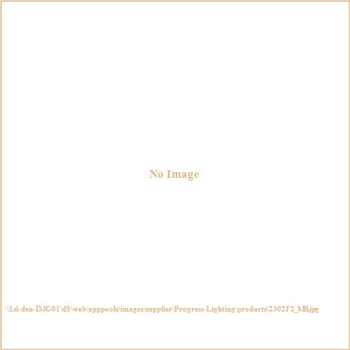 Z-Lite 2302F2 Harley - 2 Light Flush Mount