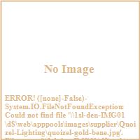 Quoizel platinum seal image